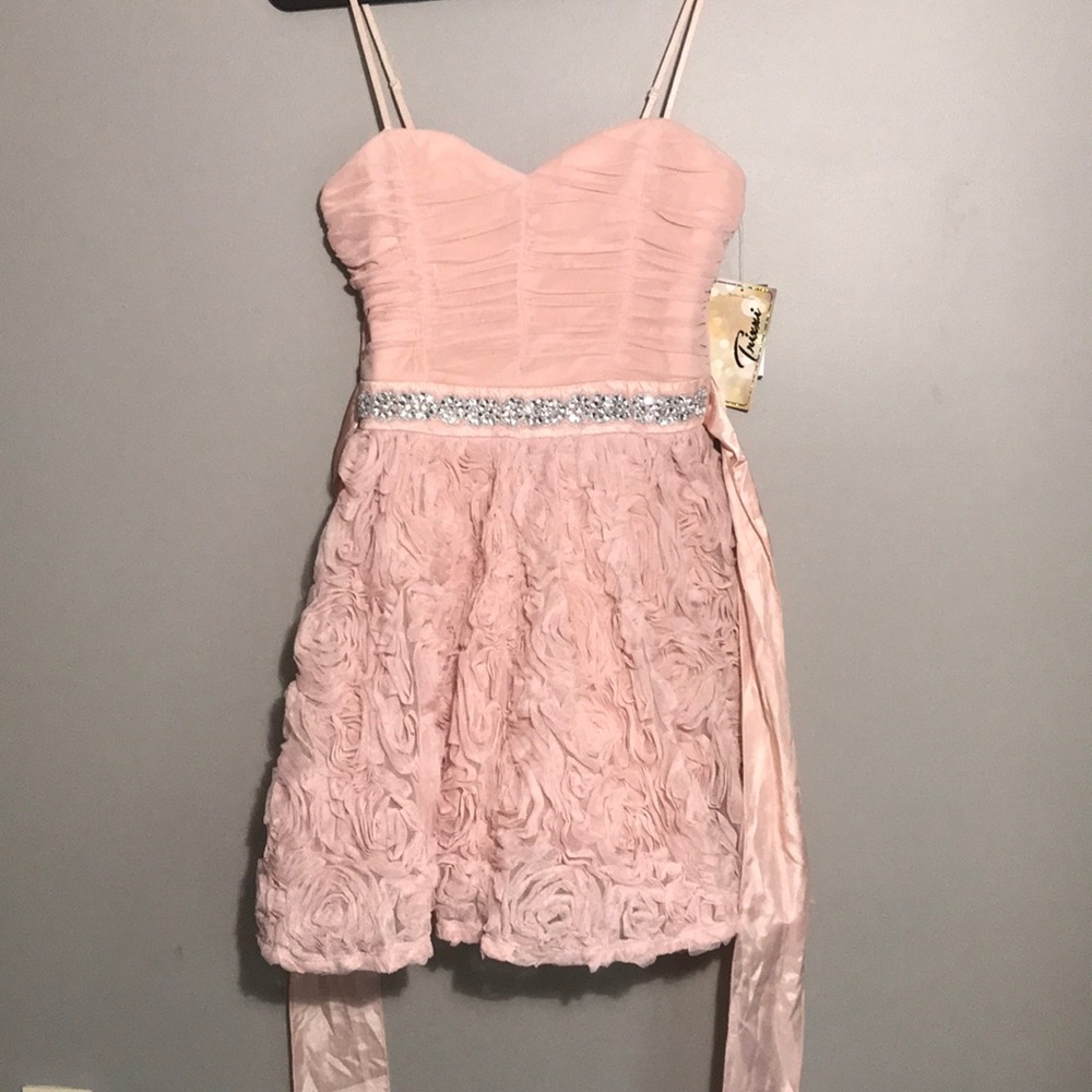 NWT Trixxi Blush Prom Dress